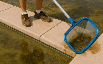 Phoenix Residential Pool Cleaning: The Hidden Key to a Healthier, Hassle-Free Lifestyle